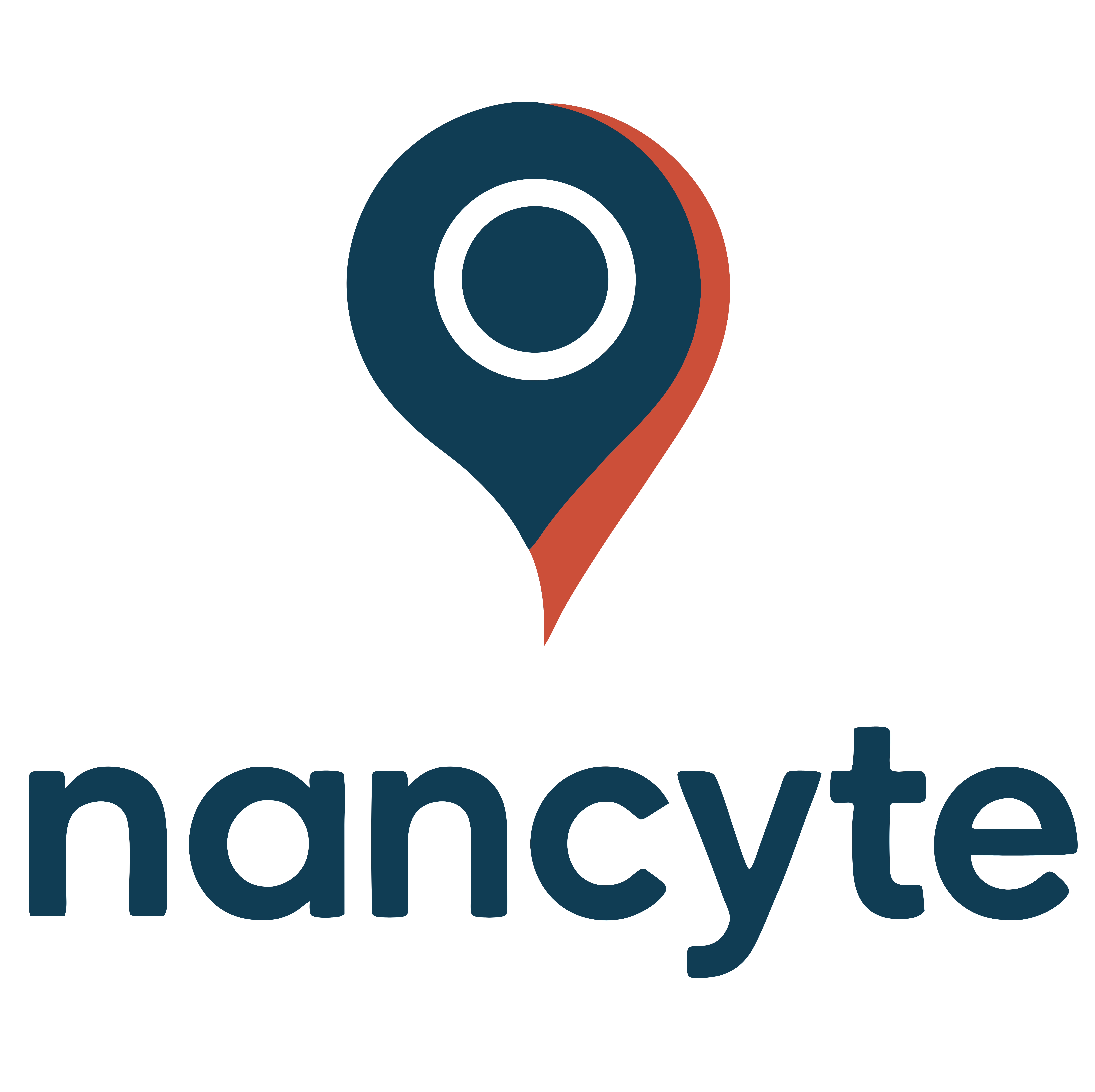 Logo nancyte