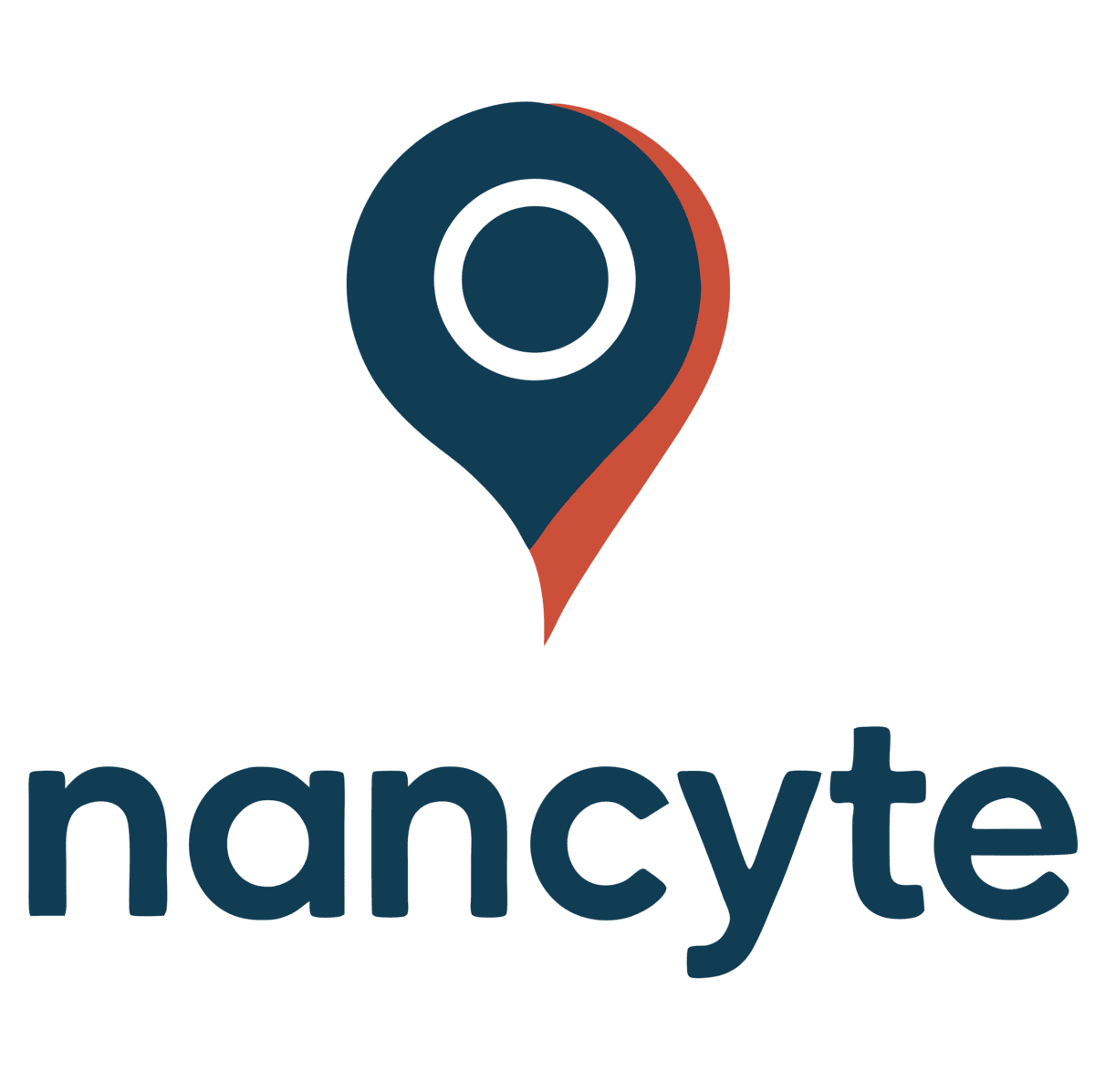 Logo nancyte