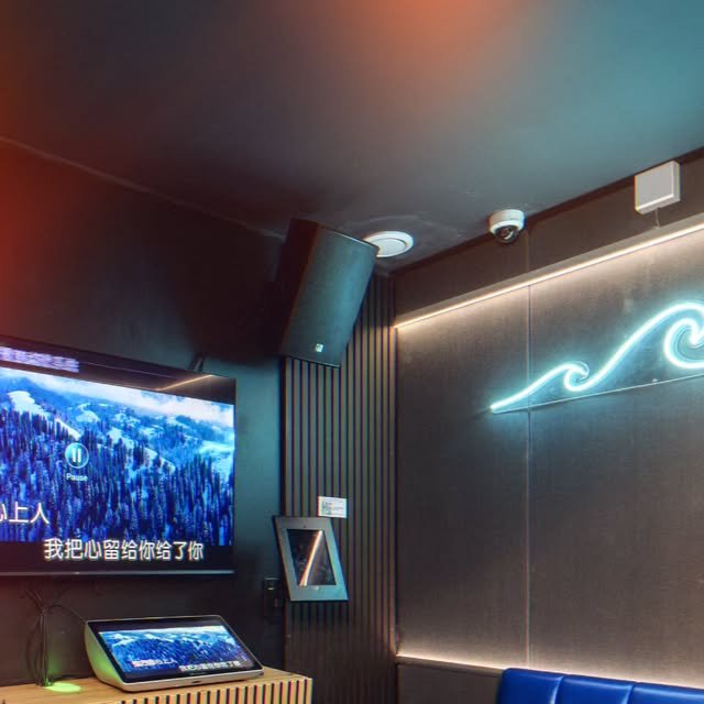 Où est le singe ? - Karaoké Box