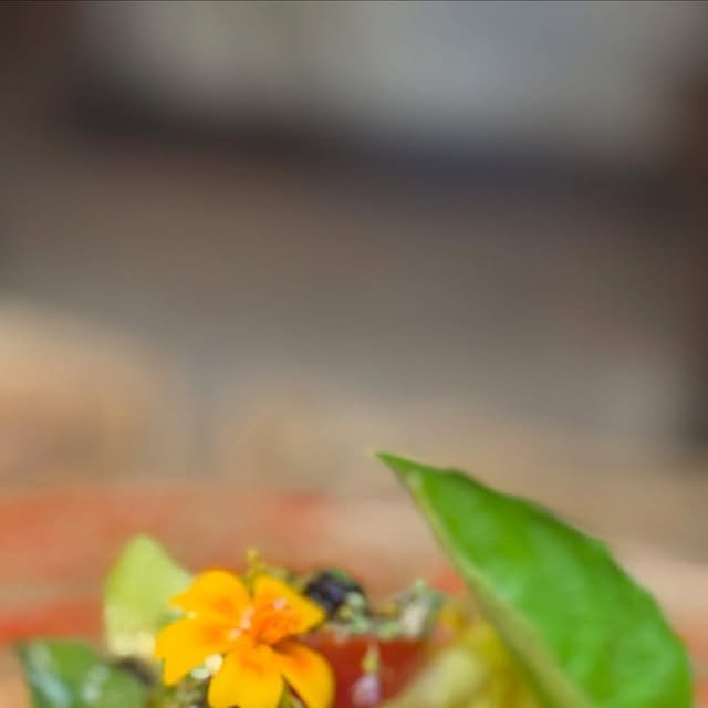 Aperçu publication Instagram